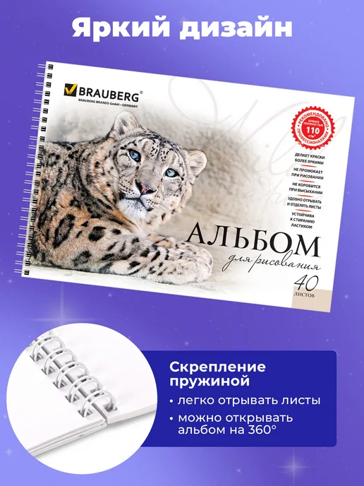 Brauberg Альбом для рисования А4 в школу 40 листов, комплект 2 штуки, белый, альбом, фото 2