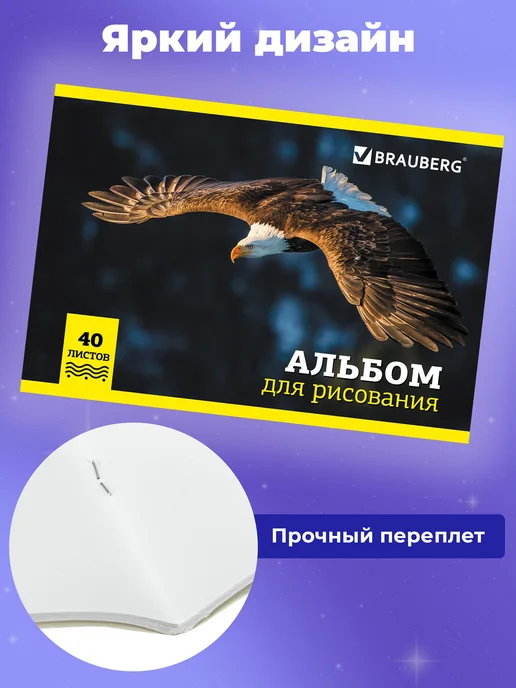 Brauberg Альбом для рисования в школу А4 40 л на скобе, набор 2 штуки, синий, альбом, фото 2