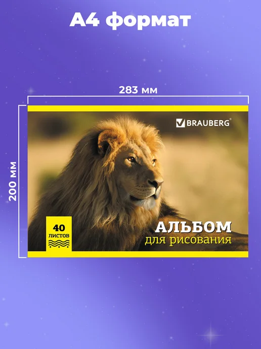 Brauberg Альбом для рисования в школу А4 40 л на скобе, набор 2 штуки, синий, альбом, фото 5