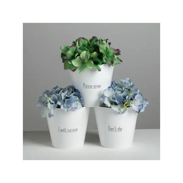 Подарок на день рождения Набор кашпо 3 в 1, 0,8 л