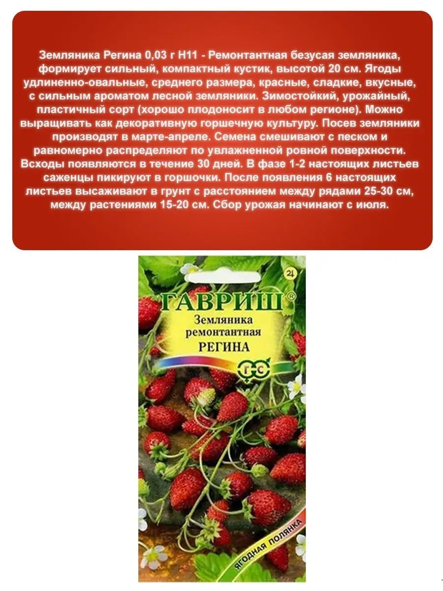 Земляника и Клубника Гавриш 17724390 купить за 260 ₽ в интернет-магазине  Wildberries