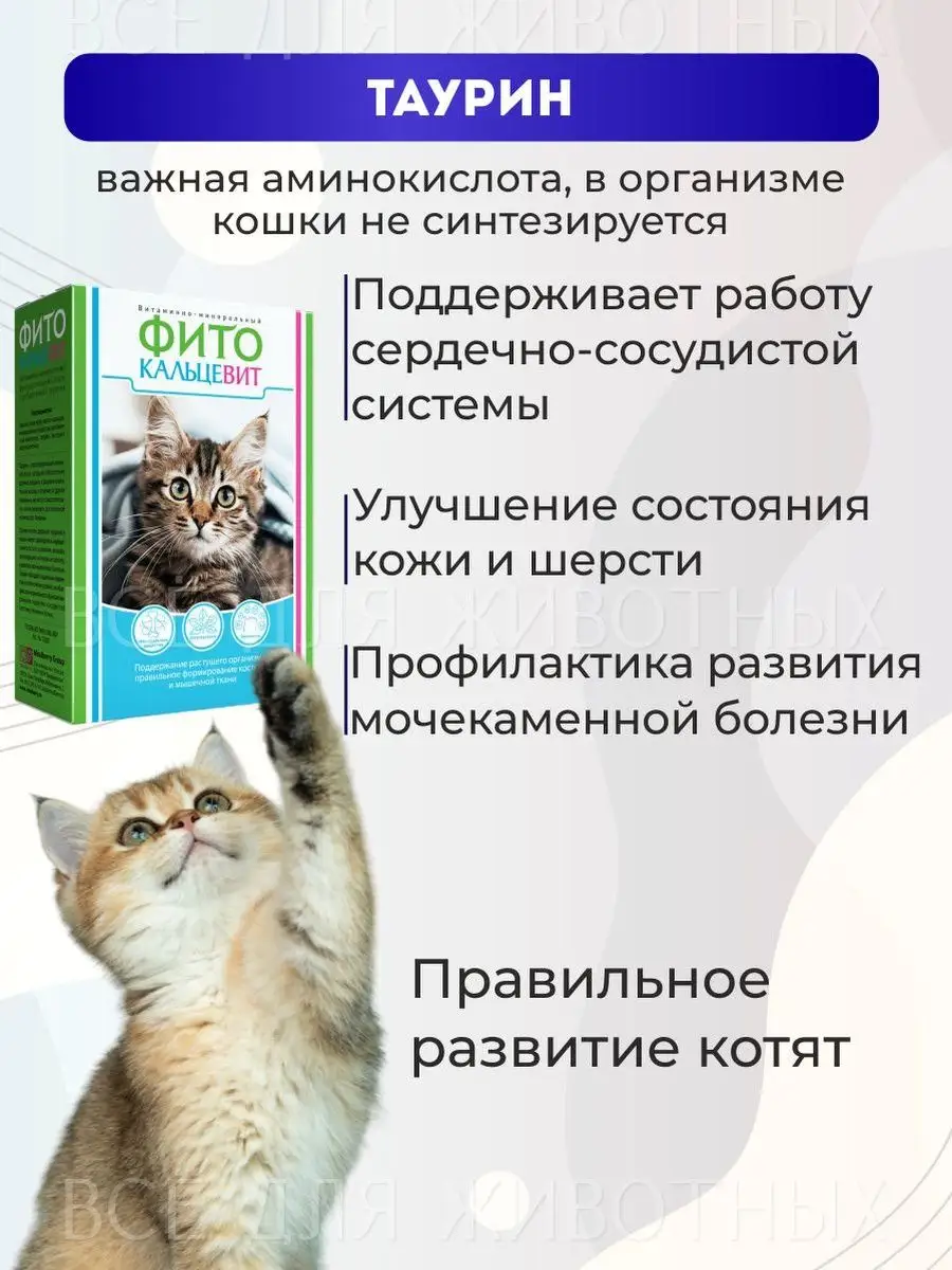 Витамины для кошек котят фитокальцевит добавка с таурином Фитокальцевит  17751390 купить за 247 ₽ в интернет-магазине Wildberries