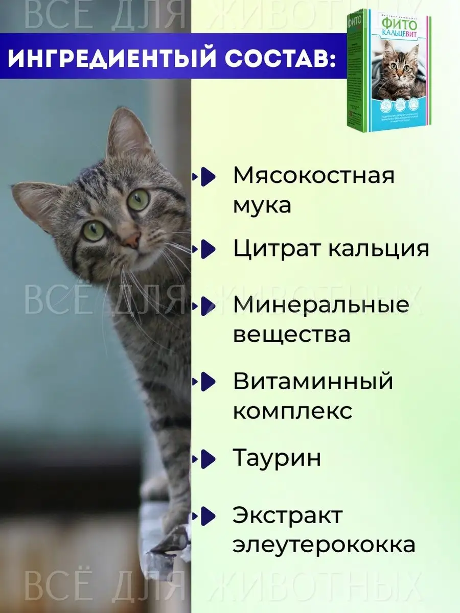 Витамины для кошек котят фитокальцевит добавка с таурином Фитокальцевит  17751390 купить за 247 ₽ в интернет-магазине Wildberries