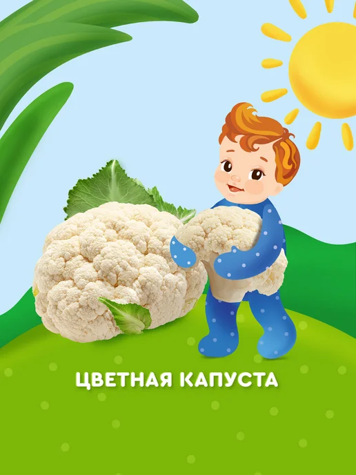Агуша Детское овощное пюре Цветная капуста с 4 мес 80г, 8шт, 80 г, 8 шт, фото 3