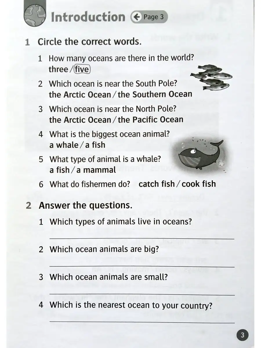 Read and Discover 4 All About Ocean Life Activity Book Oxford University  Press 17808203 купить за 434 ₽ в интернет-магазине Wildberries