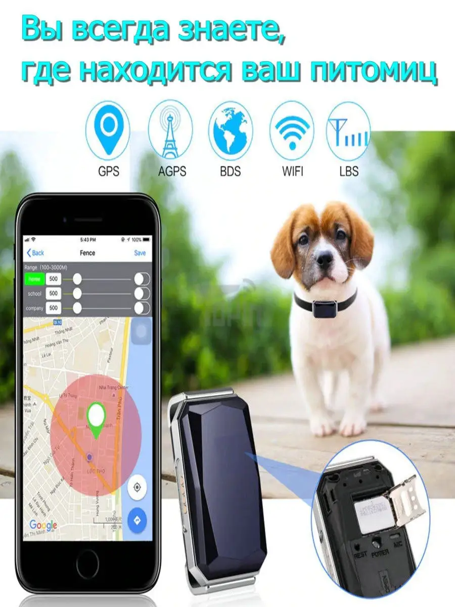 Подборка GPS-трекеров для собак и кошек: выбираем лучший