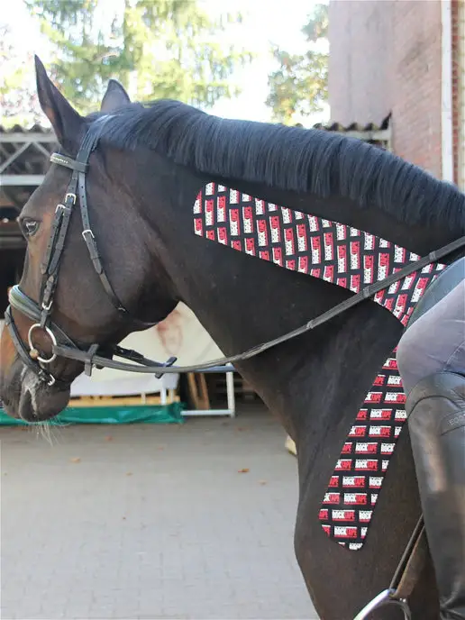 Rocktape Кинезио тейп Equine для собак и лошадей, черный, фото 4