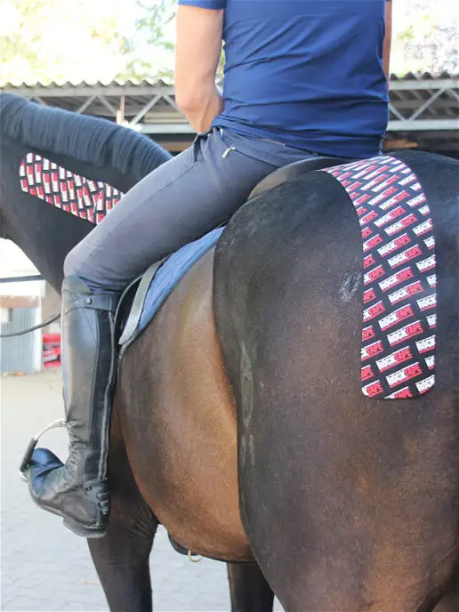 Rocktape Кинезио тейп Equine для собак и лошадей, черный, фото 5