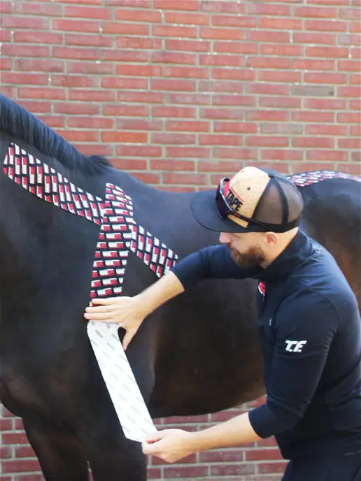 Rocktape Кинезио тейп Equine для собак и лошадей, черный, фото 6