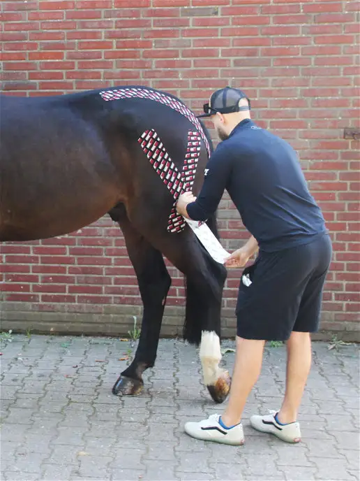 Rocktape Кинезио тейп Equine для собак и лошадей, черный, фото 7