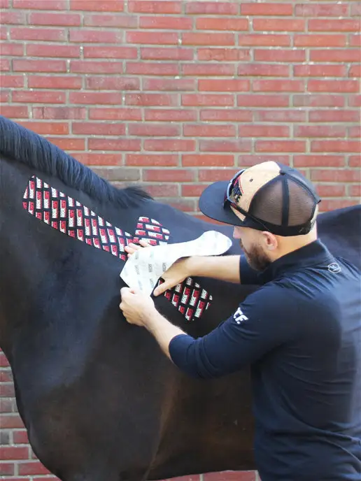 Rocktape Кинезио тейп Equine для собак и лошадей, черный, фото 8