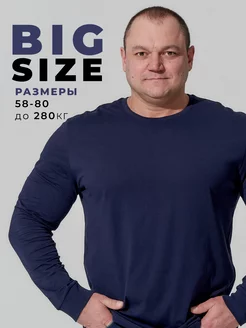 Лонгслив большие размеры с длинным рукавом MR BIGMAN 18002707 купить за 984 ₽ в интернет-магазине Wildberries