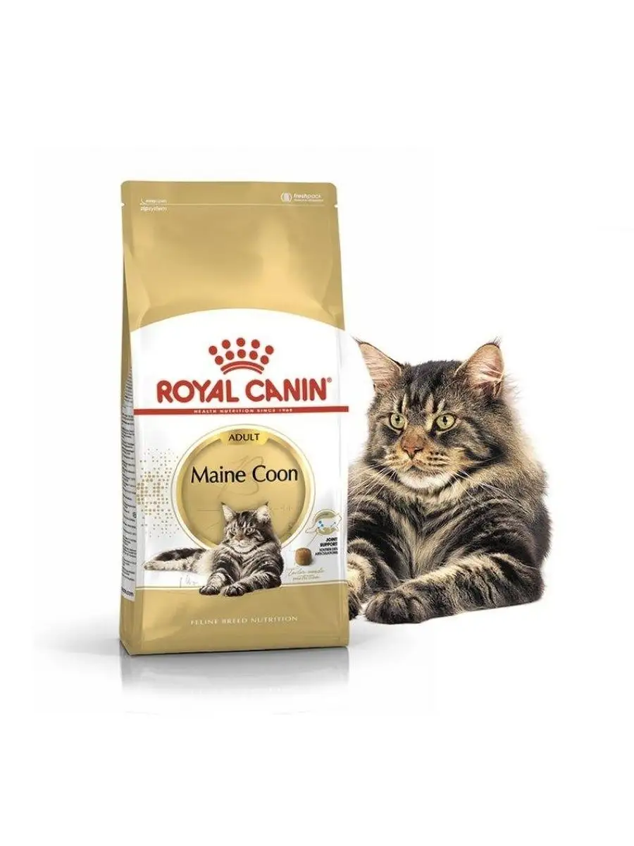 Корм Royal Canin Maine Coon для кошек Мейн Кун 2 кг ROYAL CANIN 18028381  купить в интернет-магазине Wildberries