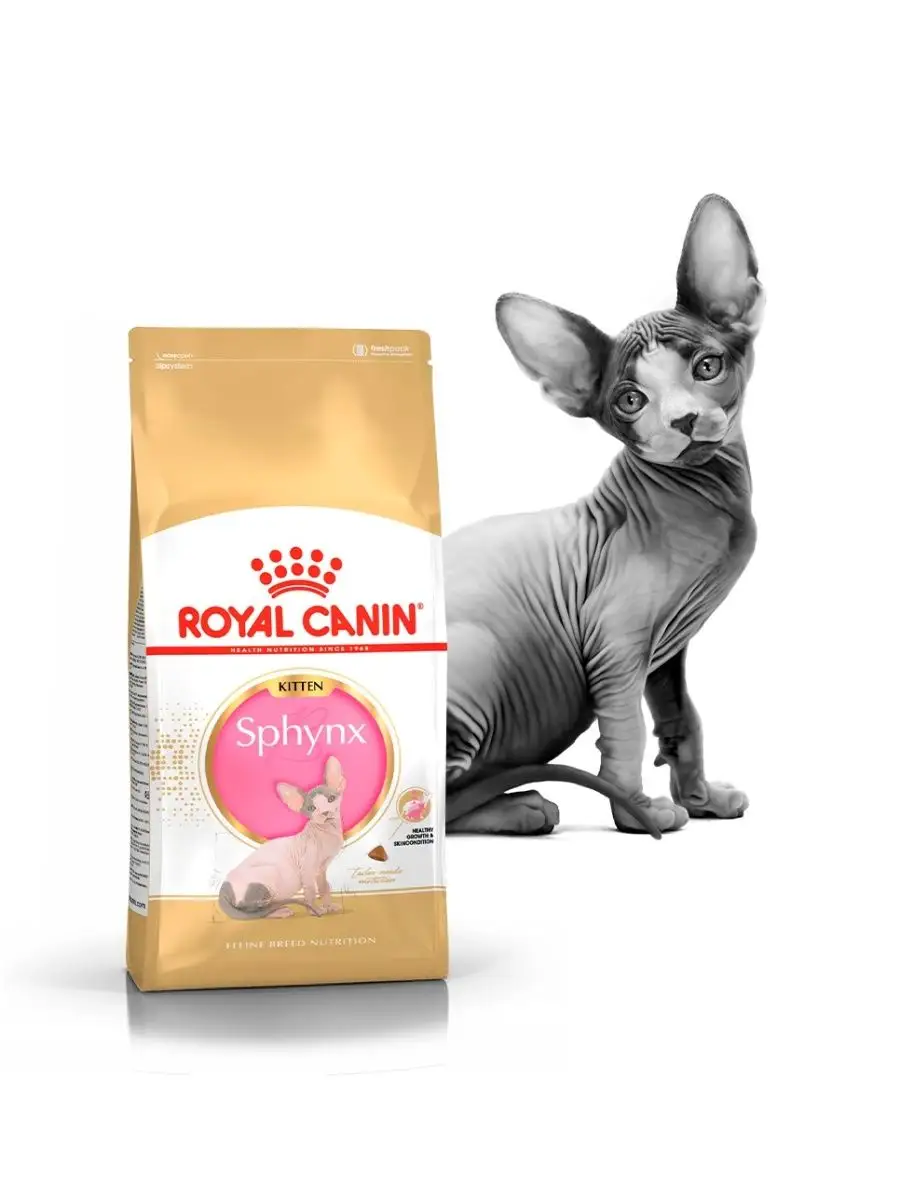 Royal canin best sale sphynx kitten