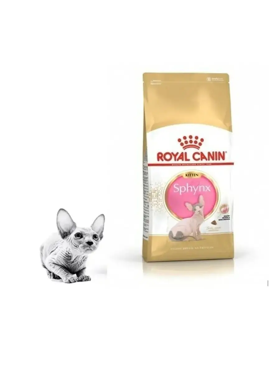 Royal canin hot sale sphynx kitten