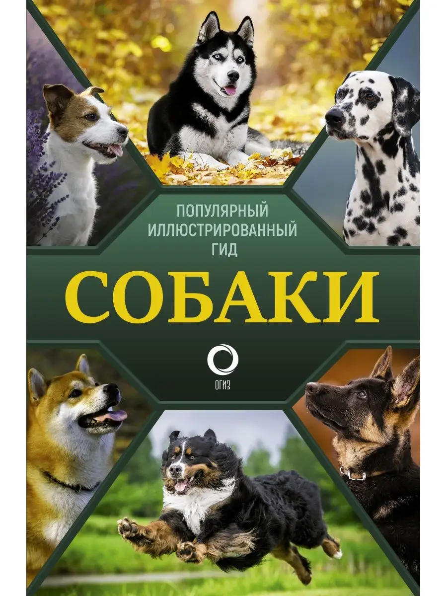 Собаки. Популярный иллюстрированный гид Издательство АСТ 18096306 купить за  535 ₽ в интернет-магазине Wildberries