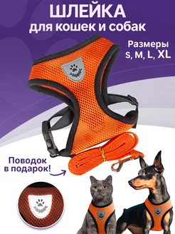 Шлейка прогулочная с поводком для собак и кошек Elitepetcamp 18114740 купить за 198 ₽ в интернет-магазине Wildberries