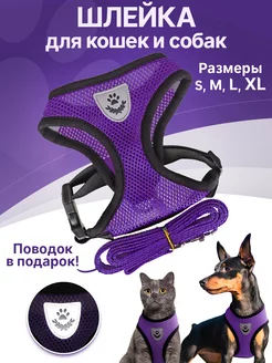 Шлейка прогулочная с поводком для собак и кошек Elitepetcamp 18114742 купить за 178 ₽ в интернет-магазине Wildberries