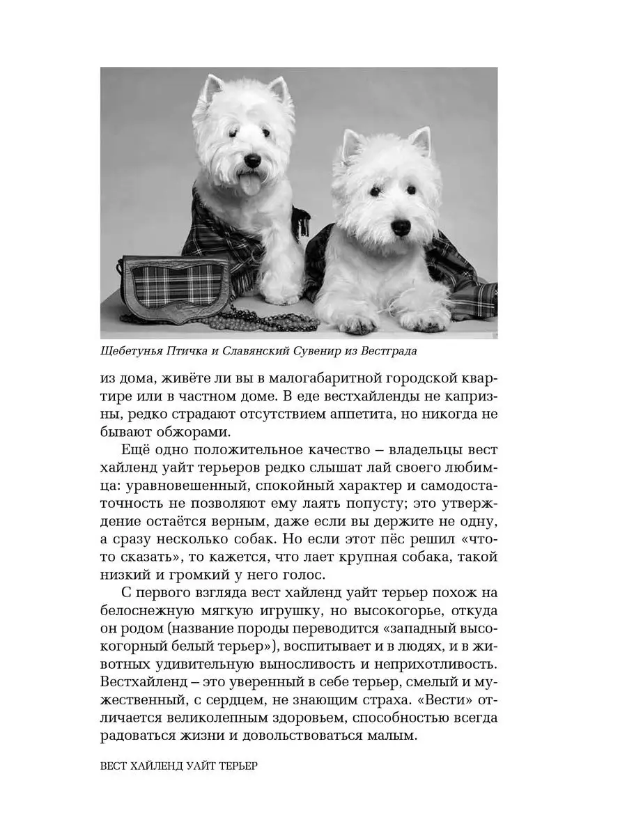 Книга про собак породы Вест хайленд уайт терьер DOG-ПРОФИ 18142821 купить в  интернет-магазине Wildberries