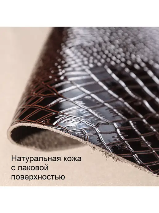 PREMIER` Зажим для денег M-54 Коричневый крокодил мелкий (лак) № 112, коричневый, фото 5