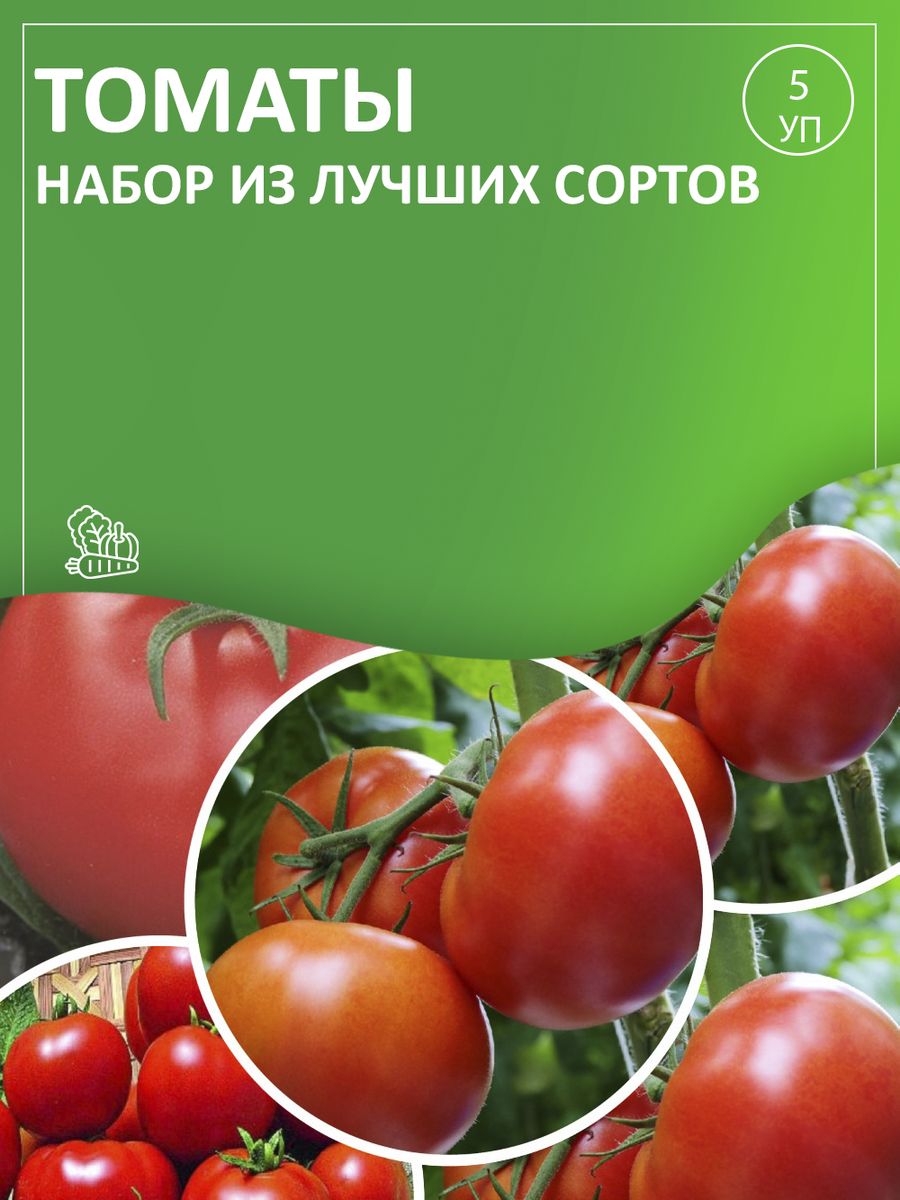 Томаты афродита описание фото. Томат пламя. Томат Благовест. Томат Афродита. Томат Афродита описание.