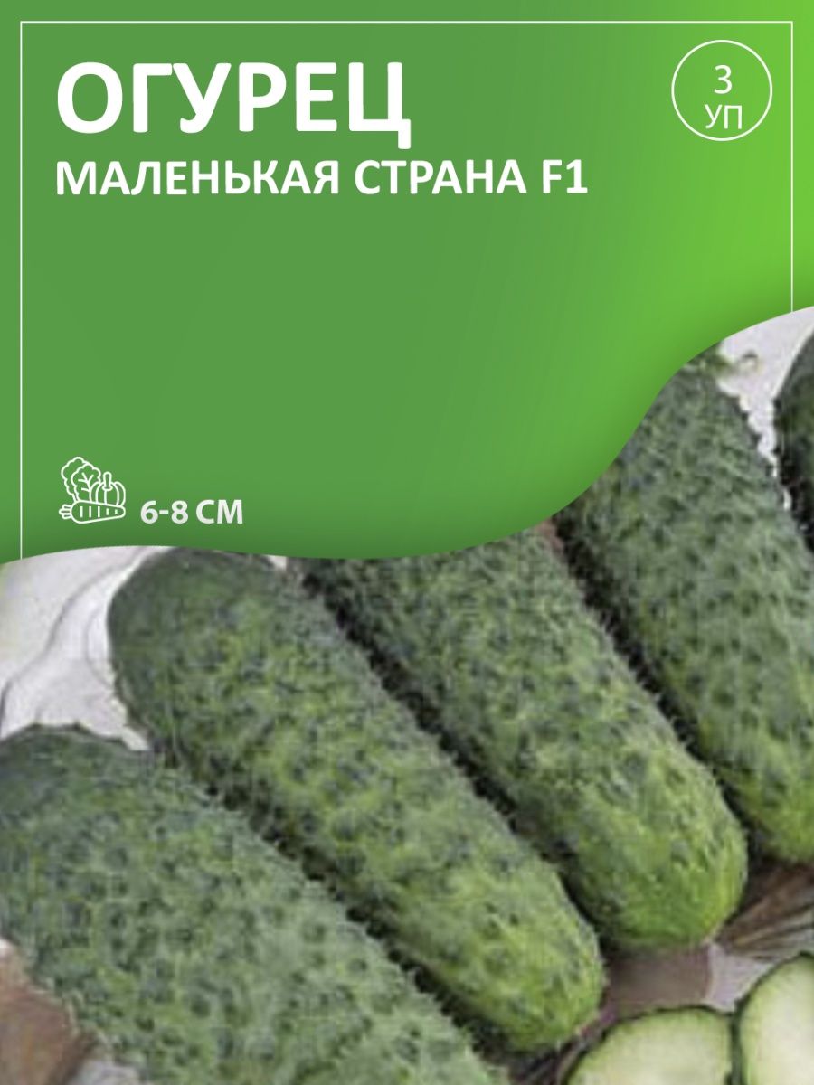 Огурцы альпака описание. Огурец альпака. Огурец Ира f1. Огурец альпака f1.