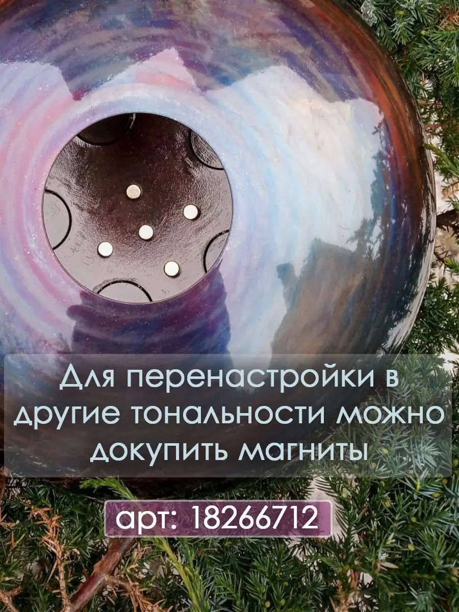 Глюкофон 30 см Аскет с чехлом хэндпан ShinySteelDrums 18266456 купить за 10  280 ₽ в интернет-магазине Wildberries