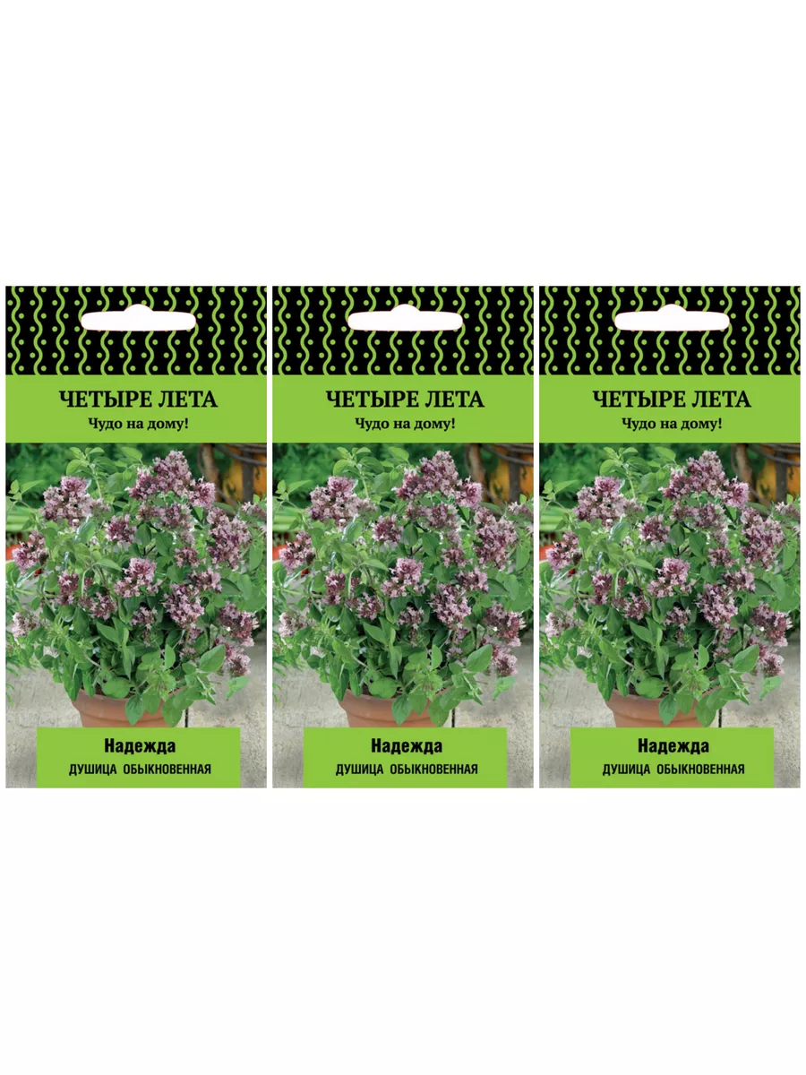 Душица обыкновенная Надежда (сер.Четыре лета) 3уп Агрохолдинг Поиск  18291991 купить в интернет-магазине Wildberries