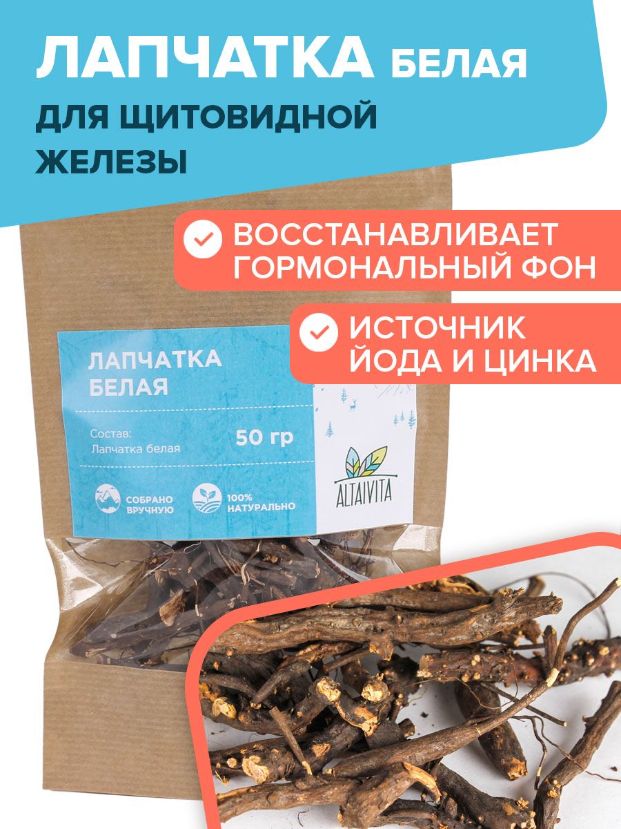 Лапчатка белая (корень) для здоровья щитовидной железы, 50гр ALTAIVITA  18305432 купить за 475 ₽ в интернет-магазине Wildberries