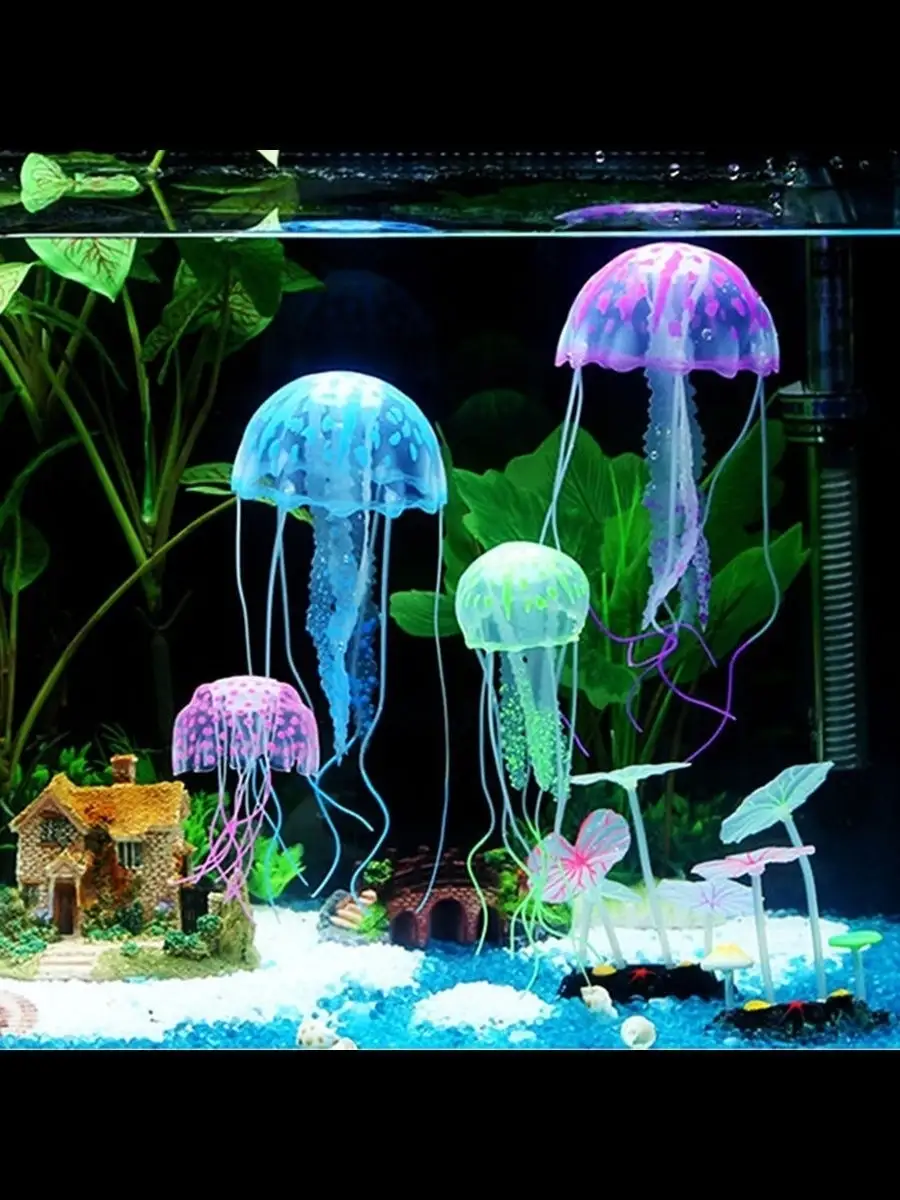 Самые часто задаваемые вопросы о разведении медуз
