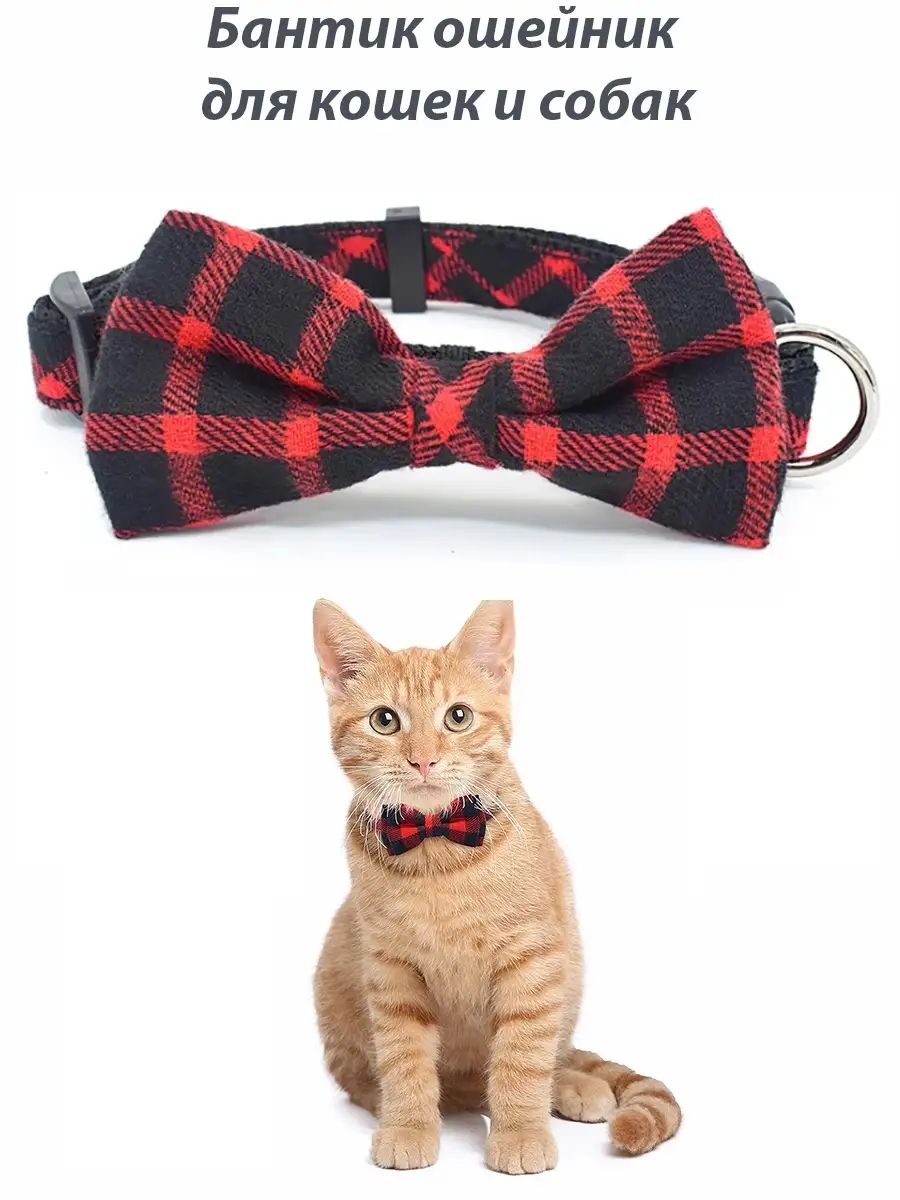 Бантики и галстуки для кошек