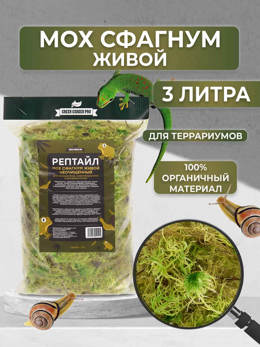 Мох сфагнум живой для террариумов Для улиток, рептилий Green Garden Pro  18408843 купить за 405 ₽ в интернет-магазине Wildberries