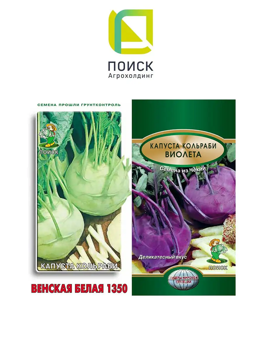 Капуста Кольраби: Венская белая 1350, Виолета,2уп Агрофирма Поиск 18412040  купить за 166 ₽ в интернет-магазине Wildberries