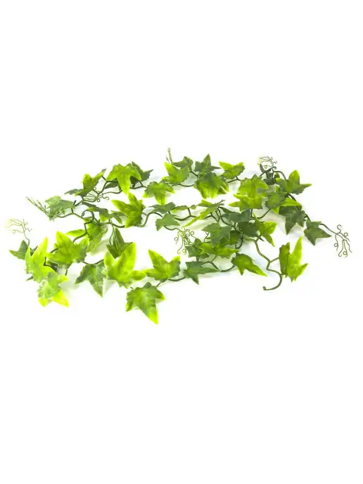 LUCKY REPTILE Декоративное растение для террариумов Ivy Vine, 200см, зеленый