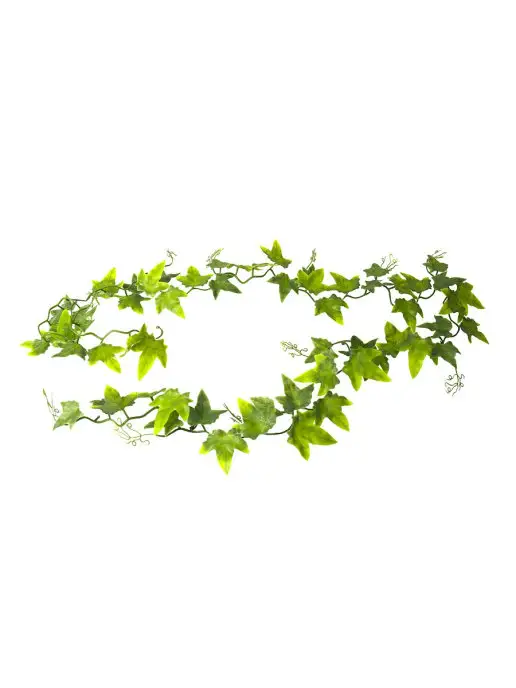 LUCKY REPTILE Декоративное растение для террариумов Ivy Vine, 200см, зеленый, фото 2