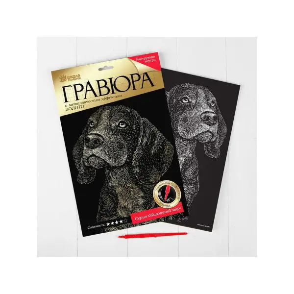 Гравюра "Бигль" с металлическим эффектом золота А4