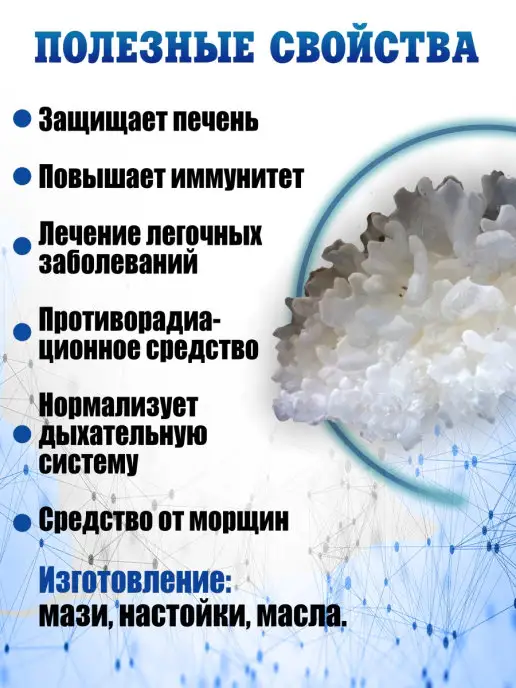 Дары Жизни Ледяной гриб отборный, цельный. Качество LUX, вариант, фото 2