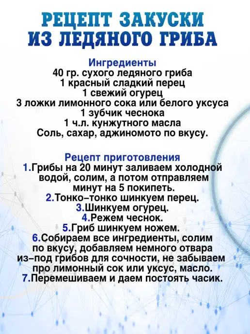 Дары Жизни Ледяной гриб отборный, цельный. Качество LUX, вариант, фото 3