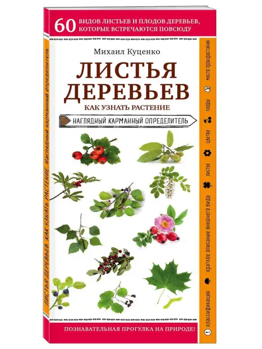 Эксмо Листья деревьев. Как узнать растение