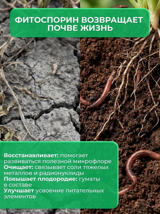 ОЖЗ КУЗНЕЦОВА Фитоспорин-М фунгицид быстрорастворимый универсальный 100 71, вариант, фото 7