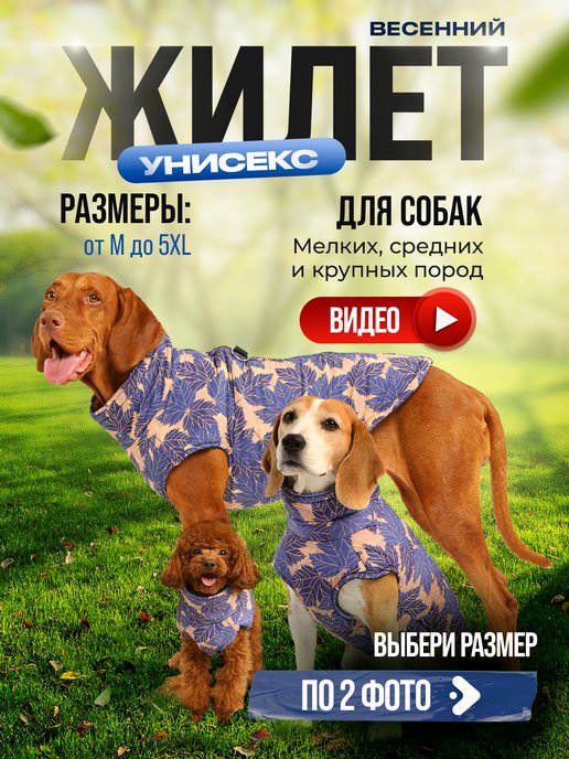 Одежда для собак своими руками Dress for dogs | ВКонтакте