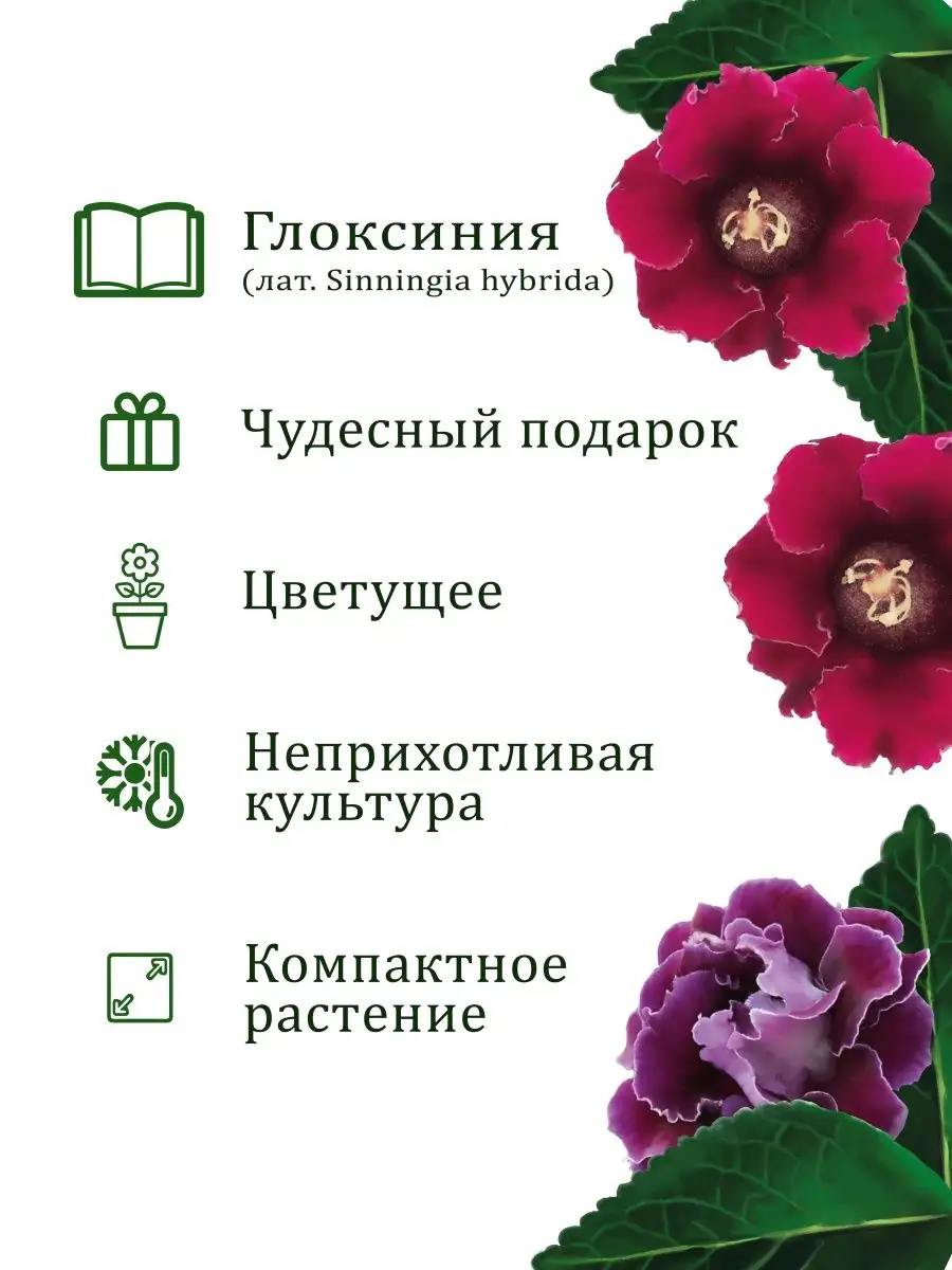 Набор для выращивания растений и цветов в горшке для дома Вырасти, Дерево!  18600301 купить за 360 ₽ в интернет-магазине Wildberries