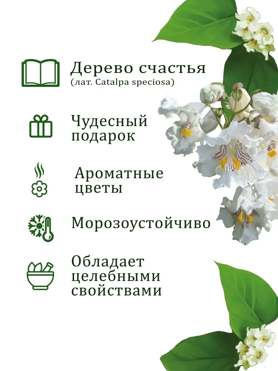 Набор для выращивания растений и цветов в горшке для дома Вырасти, Дерево!  18600302 купить за 360 ₽ в интернет-магазине Wildberries