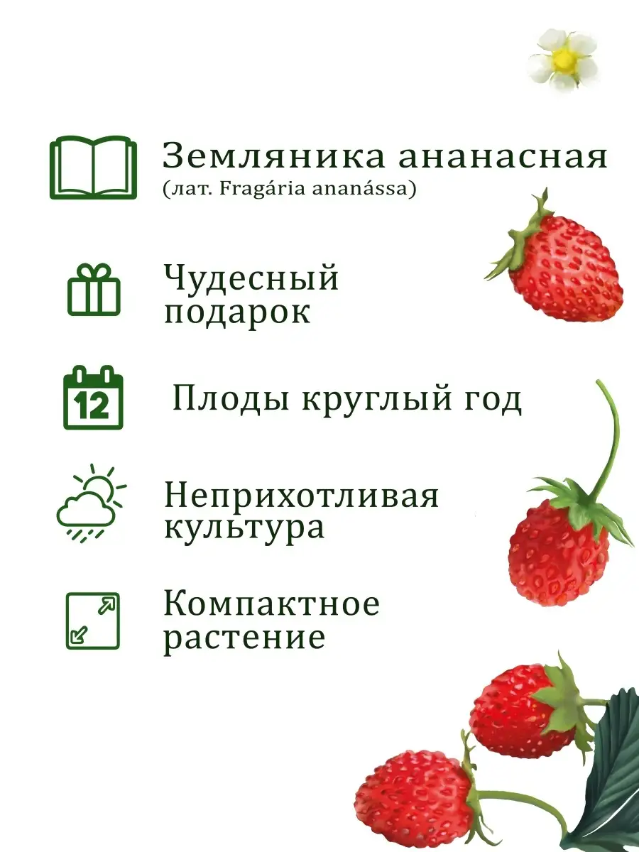 Набор для выращивания растений и цветов в горшке для дома Вырасти, Дерево!  18600303 купить за 331 ₽ в интернет-магазине Wildberries