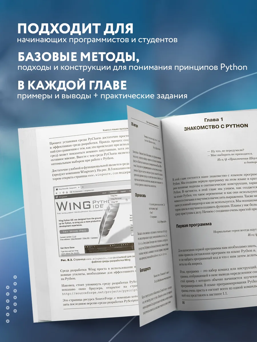 Программирование на Python в примерах и задачах Эксмо 18633098 купить за  961 ₽ в интернет-магазине Wildberries