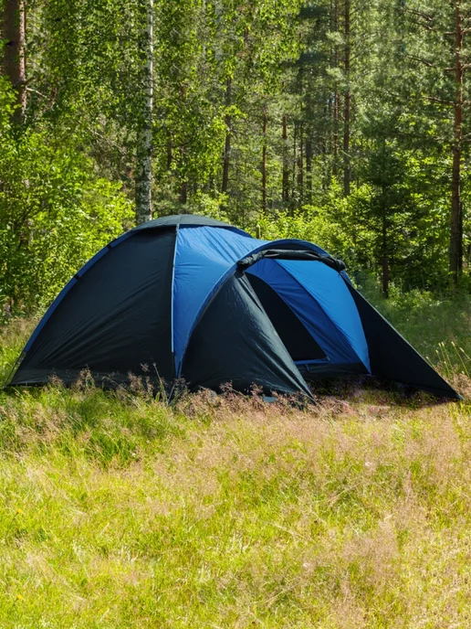 Greenhouse Палатка туристическая FCT-32 трехместная, вариант, фото 2