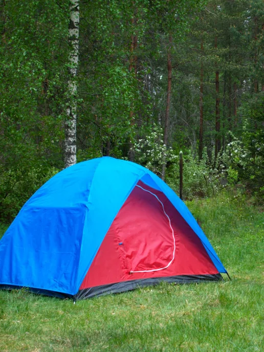 Greenhouse Палатка туристическая FCT-21 двухместная, вариант, фото 2