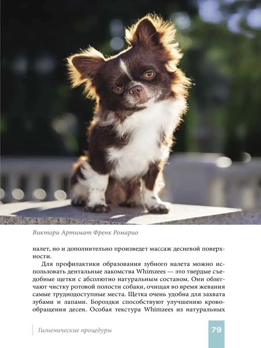 Чихуахуа руководство для владельца DOG-ПРОФИ DOG-ПРОФИ 18643354 купить за 1  152 ₽ в интернет-магазине Wildberries