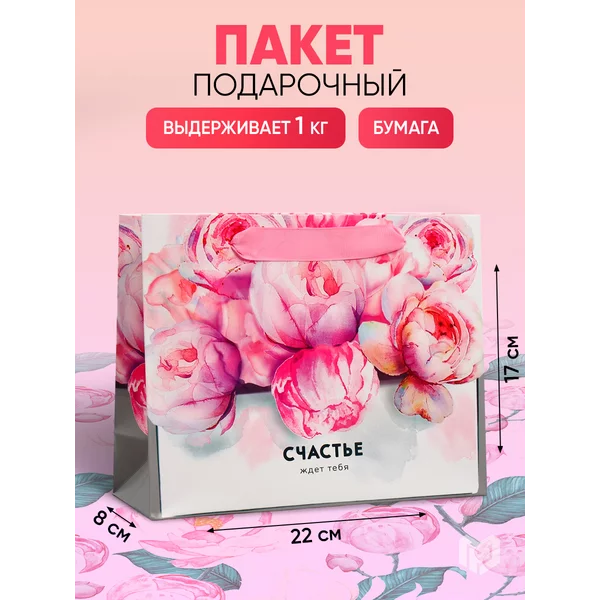 Подарочный пакет ламинированный, 22 × 17,5 × 8 см