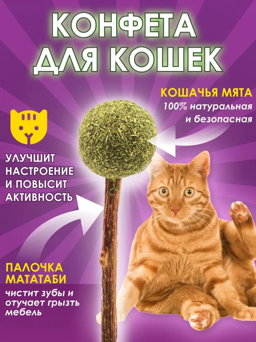 Zoomart Лакомства для кошек кошачья мята конфета